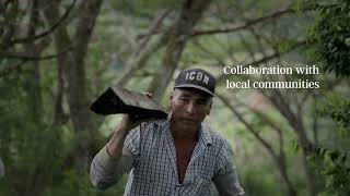 Restoring Degraded Land in Antioquia [upl. by Anastasia833]