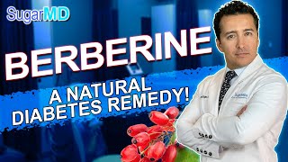 Does Berberine Really Help Control Blood Sugar Dump Metformin [upl. by Yelahc492]