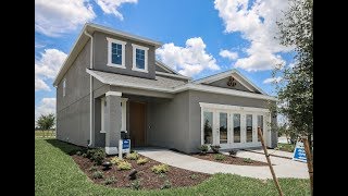 Home Tour  Willow Plan by Meritage Homes at WaterGrass  Wesley Chapel FL [upl. by Choo]