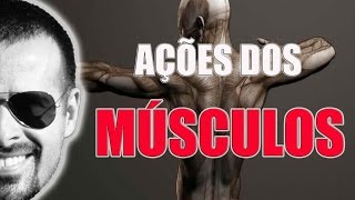 Sistema Muscular Ação dos músculos macete fácil de aprender  Anatomia Humana  VideoAula 023 [upl. by Ayarahs269]