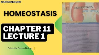 Homeostasis Class 10th Biology Kpk Textbook Board Peshawar Lec 1 [upl. by Otreblide]