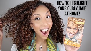 How To Highlight Curly Hair At Home Clairol Professional Textures amp Tones  BiancaReneeToday [upl. by Eimilb721]