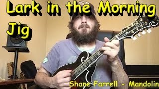 Lark in the Morning Irish Jig  Mandolin [upl. by Naicul]