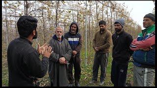 Canopy and Nutrient Management Strategies for 5YearOld HDP Orchards  Farmers Corner Kashmir [upl. by Anabelle239]