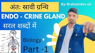 endocrine glandअंतःस्रावी ग्रंथि मानव हार्मोन glands Hormones and glands ByBrahamdev sir [upl. by Alboran]