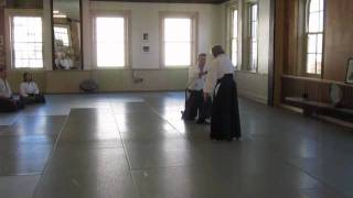 Mary Mary Heiny Sensei on Harmonizing in Aikido [upl. by Severn]