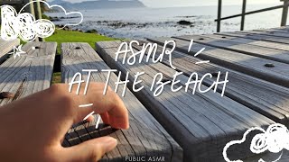 ASMRAT THE BEACH 🌊 [upl. by Weintrob]