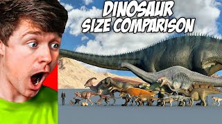 SMALLEST to BIGGEST DINOSAURS the SIZE COMPARISON Reaction [upl. by Norris]