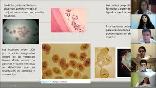 Hidatidosis Echinococcus granulosus [upl. by Norbel]