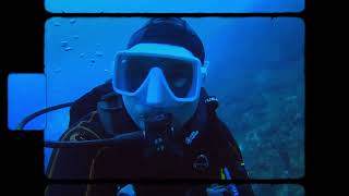 buceo en Jardines de la Reina cuba junio 2024 [upl. by Ormond157]