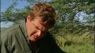 RAY MEARS AFRICA SAFARI FULL EPISODE [upl. by Jamison393]