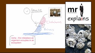 mr i explains Competition between organisms and Gauses Exclusion Principle [upl. by Milly815]