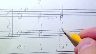 Phrygian Cadences Music Theory Discussion [upl. by Gildas272]