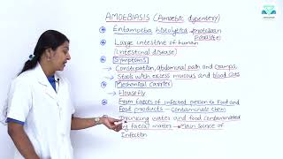 BIOLOGY 8 1 7 AMOEBIASIS AMOEBIC DYSENTERY [upl. by Prentiss]