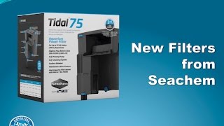 Product Review Seachem Tidal 75 Power Filter Fincasters Episode 163 [upl. by Evreh]