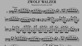 Domenico Dragonetti  12 Waltzes for Double Bass Solo [upl. by Anyahs]