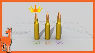 Why 243 Winchester is still my favorite cartridge  243 Win vs 6mm Creedmoor 65 Creedmoor 308 Win [upl. by Eelek]