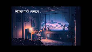 চাতক বাঁচে কেমনে  Chatok Bache Kemone  Sumi  Lalon Band Song  Lofi song Folk Studio [upl. by Arrec]