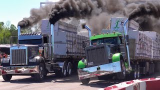 Great Lakes Big Challenge 2021 loaded semi drags and bob tail Friday session Onaway Michigan [upl. by Eidac]