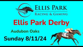 Ellis Park Sunday 811 Selections  Derby Day [upl. by Innos]