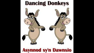 Dancing Donkeys  Asynnod syn Dawnsio [upl. by Ahsinned]