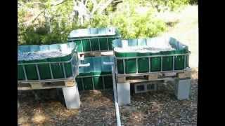 Aquaponics The Build [upl. by Mcallister423]