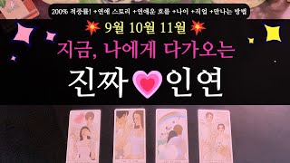 타로 연애운💥200 적중률💥9월 10월 11월 나에게 다가오는 진짜 인연💘💗 고백 만나는 방법 연애스토리 나이 직업 외모 뉴페구페 [upl. by Noiztneb]