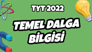 TYT Fizik  Temel Dalga Bilgisi  TYT Fizik 2022 hedefekoş [upl. by Tipton]