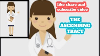 ASCENDING TRACT Spinal cordPART 1 [upl. by Scherle615]