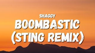 Shaggy  Boombastic Sting remix Lyrics TikTok Song  Im boombastic tell me fantastic [upl. by Hut]