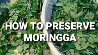 HOW TO PRESERVE MORINGGA  MALUNGGAY  TO KEEP GREEN LEAVES FRESH IN FRIDGE MORINGGA LEAVES🍃🌿 [upl. by Anayt341]