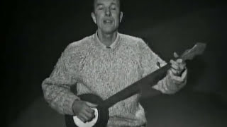 Pete Seeger  What Did You Learn In School [upl. by Garett]