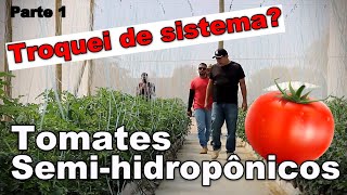 Sistema de Tomates SemiHidropônicos  Conhecendo a Nova Estufa dos Meus Vizinhos Parte 1 [upl. by Ikkir]