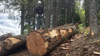 Hoodriver County sale 172 Madill logging Big Wood [upl. by Clayton]