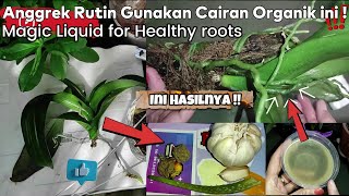 Cairan Ajaib Akar Anggrek Menghijau Lebat Cheap Organic Fertilizer easy amp healthy growing roots [upl. by Llertram]