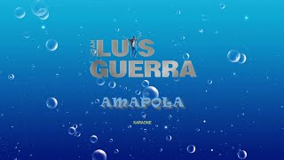 Amapola  Karaoke  Juan Luis Guerra [upl. by Cline761]