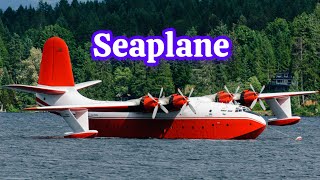 Top seaplane 🛩️ in the world [upl. by Chessa470]