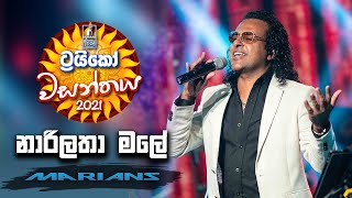 Narilatha Male  නාරිලතා මලේ   Trico වසන්තය with MARIANS [upl. by Lerrej193]