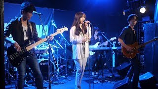 世界が終るまでは…  WANDS Cover ZARDコピーバンド LIVE [upl. by Lorusso]