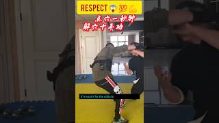 most dangerous fighting moves 😱 💪 challenge kungfu [upl. by Yann]