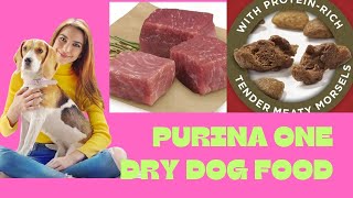 The Truth About Purina One Dry dog Food And Cat Food [upl. by Tnilk]