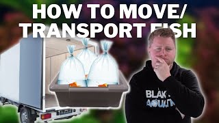 How to Transport Fish Safely  What to Do When Moving House  Moving a Fishroom [upl. by Sergius]