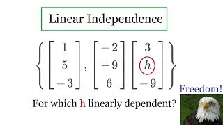 Linear Independence [upl. by Aikyn879]