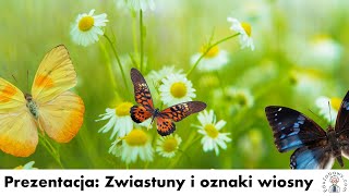 Prezentacja Zwiastuny i oznaki wiosny dla dzieci przedszkolaków uczniów Film edukacyjny [upl. by Camilo70]