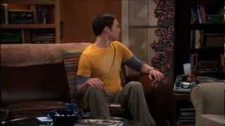 Best Of  The Big Bang Theory  Staffel 5 Teil 2 von 3 [upl. by Emiatej]