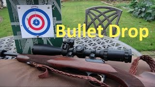 Bullet Drop 22lr 50  100 Metres rangetime [upl. by Ahsinad]