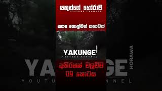 අභිරහස් වලව්ව 09 කොටස  sinhala holman katha sinhalaholmankatha horrortok viral foryou [upl. by Naginarb]