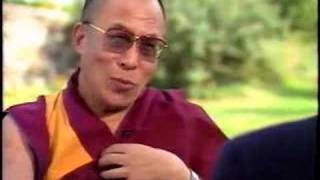 Dalai Lama kills a Mosquito [upl. by Dnomrej887]