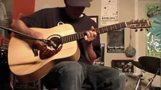 NORMAN B20 Acoustic Guitar Demo [upl. by Ardnikat]