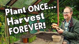 5 MustGrow Perennial Vegetables Harvest Year After Year 👩‍🌾 [upl. by Phare]